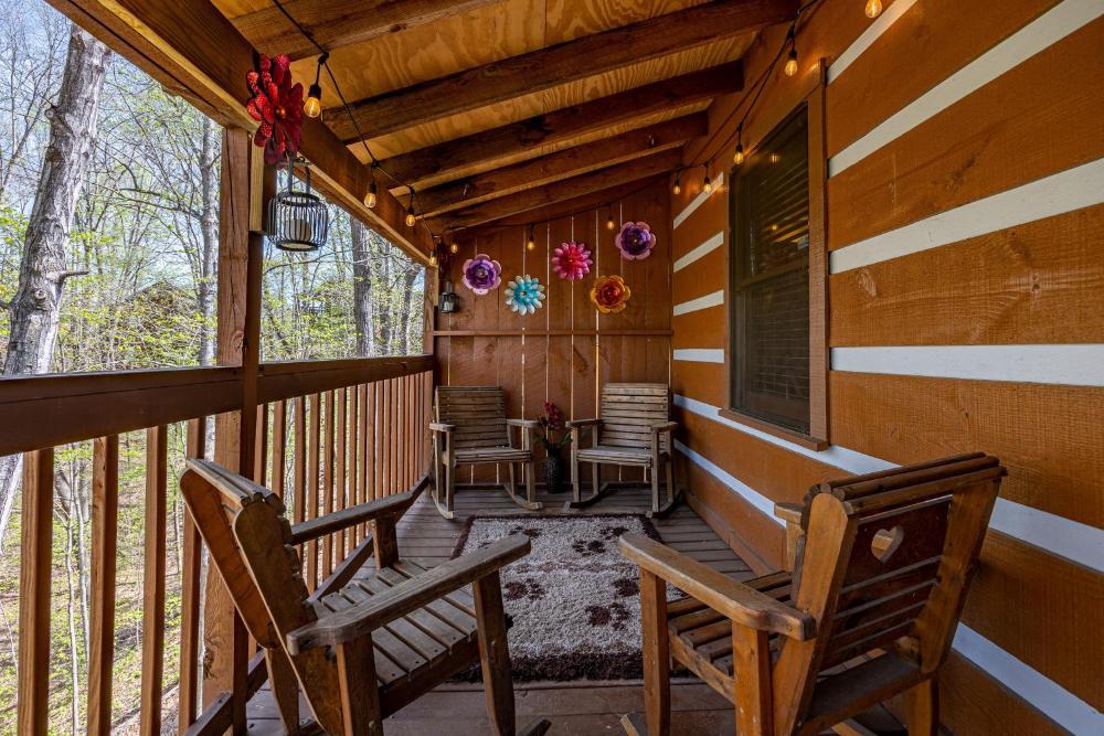 Cozy Bears Cabin cabin
